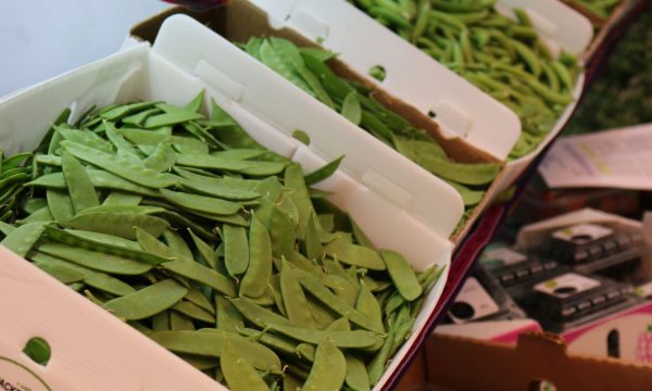 Frutas y vegetales de Guatemala los favoritos de los consumidores internacionales